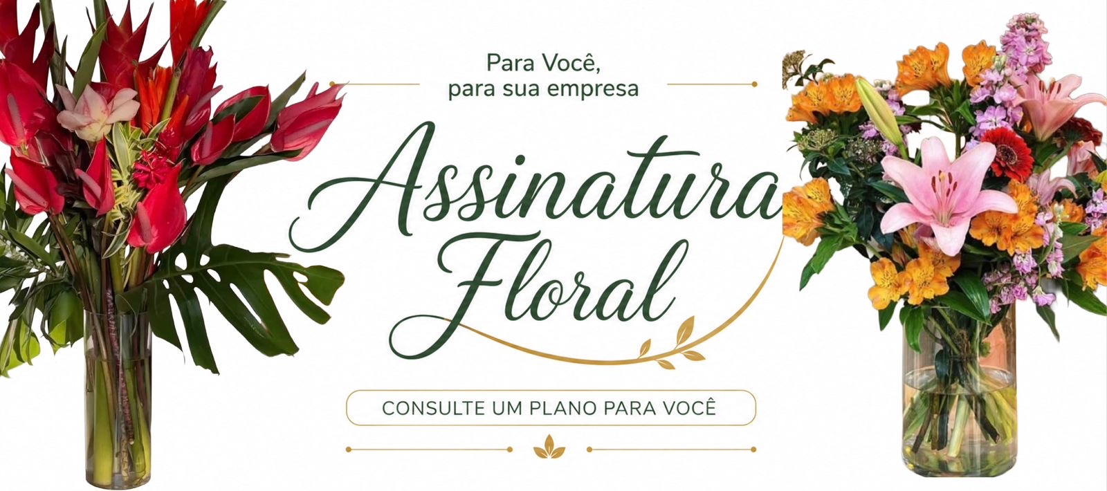 Faça o seu plano já
